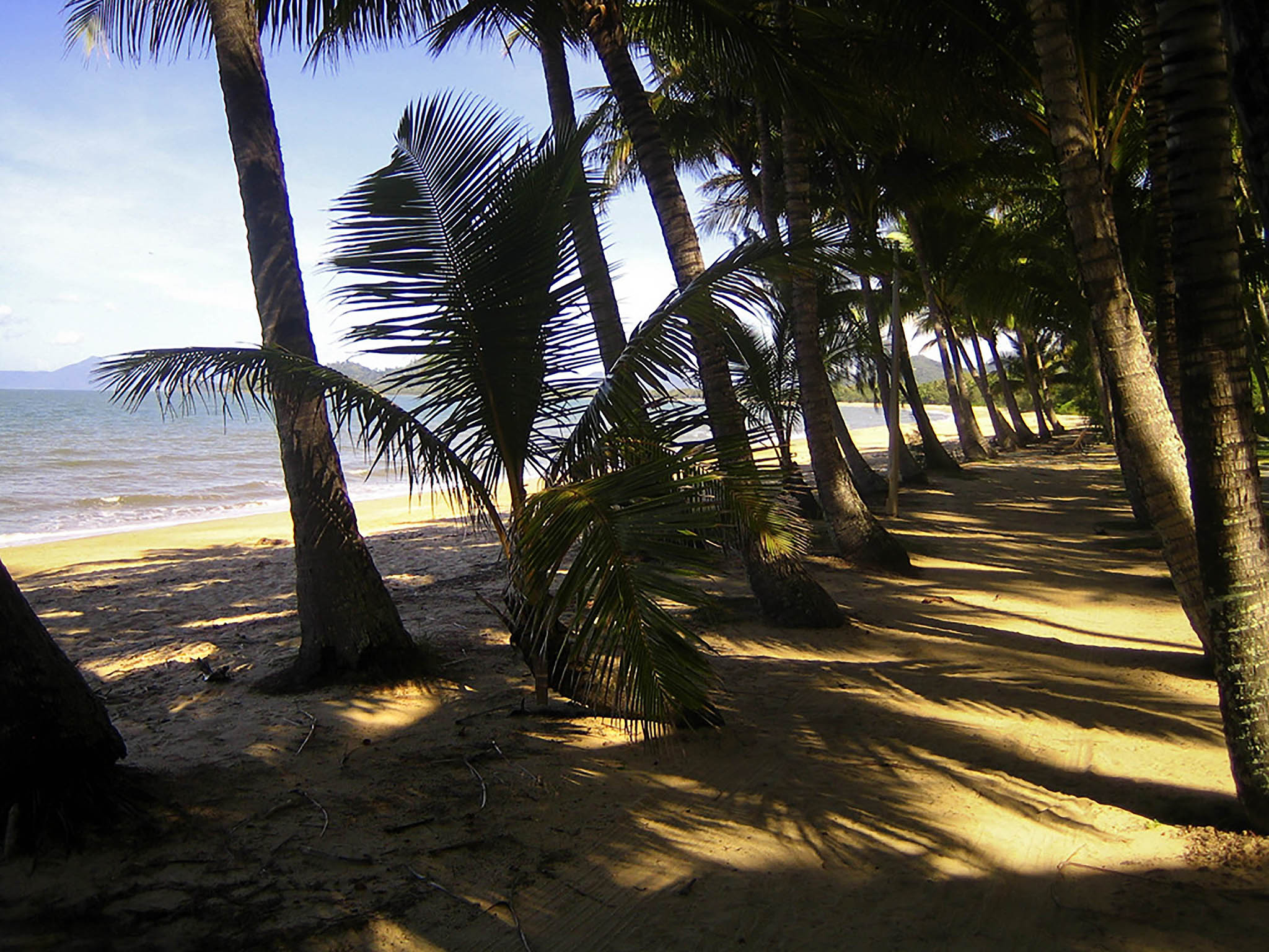 Photo - Novotel Cairns Oasis Resort