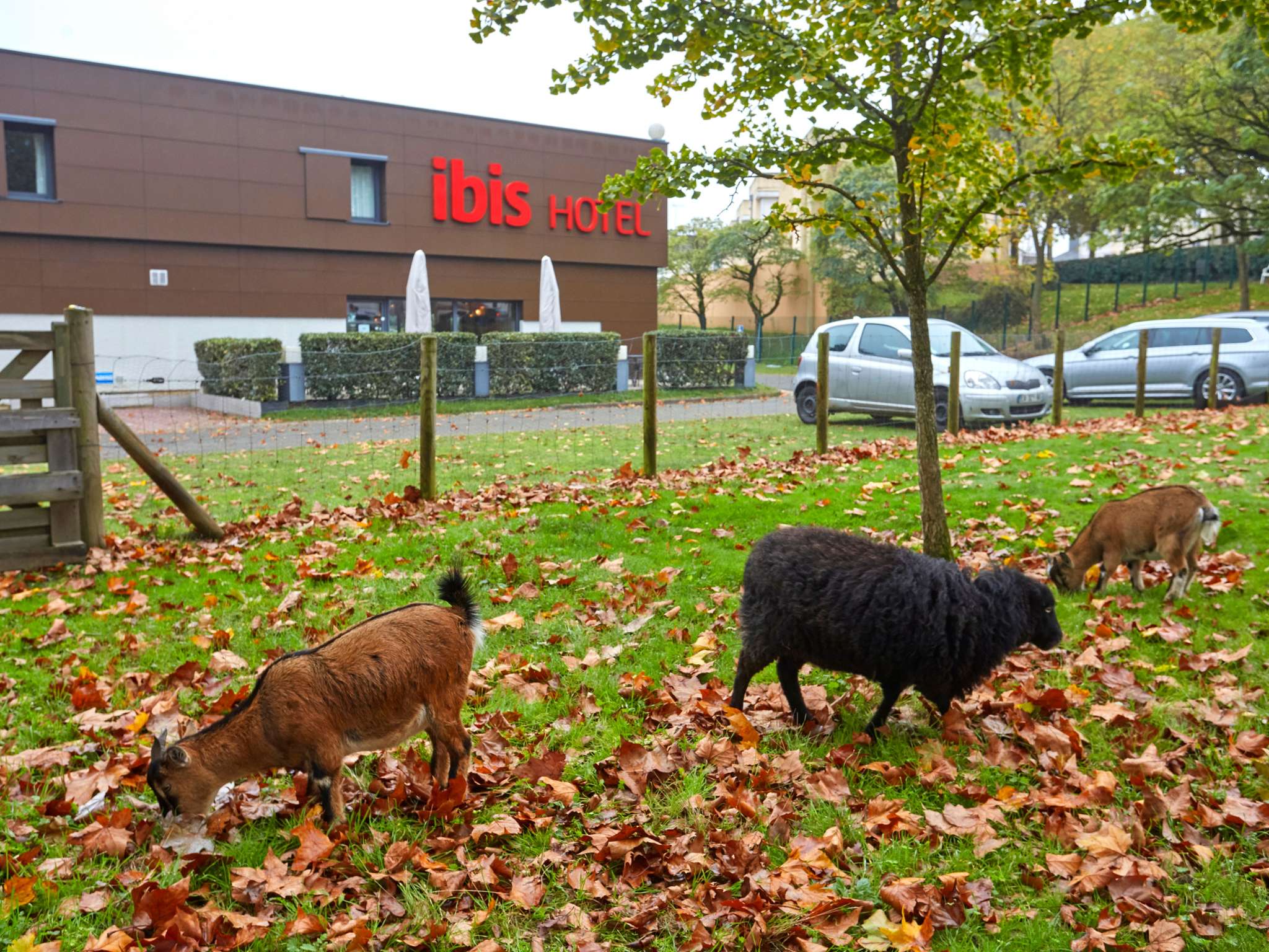 Foto - ibis Le Mans Est Pontlieue