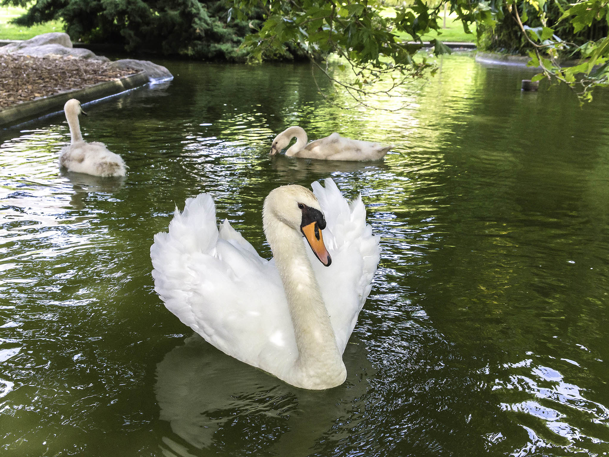 Photo - ibis Angers Centre Chateau