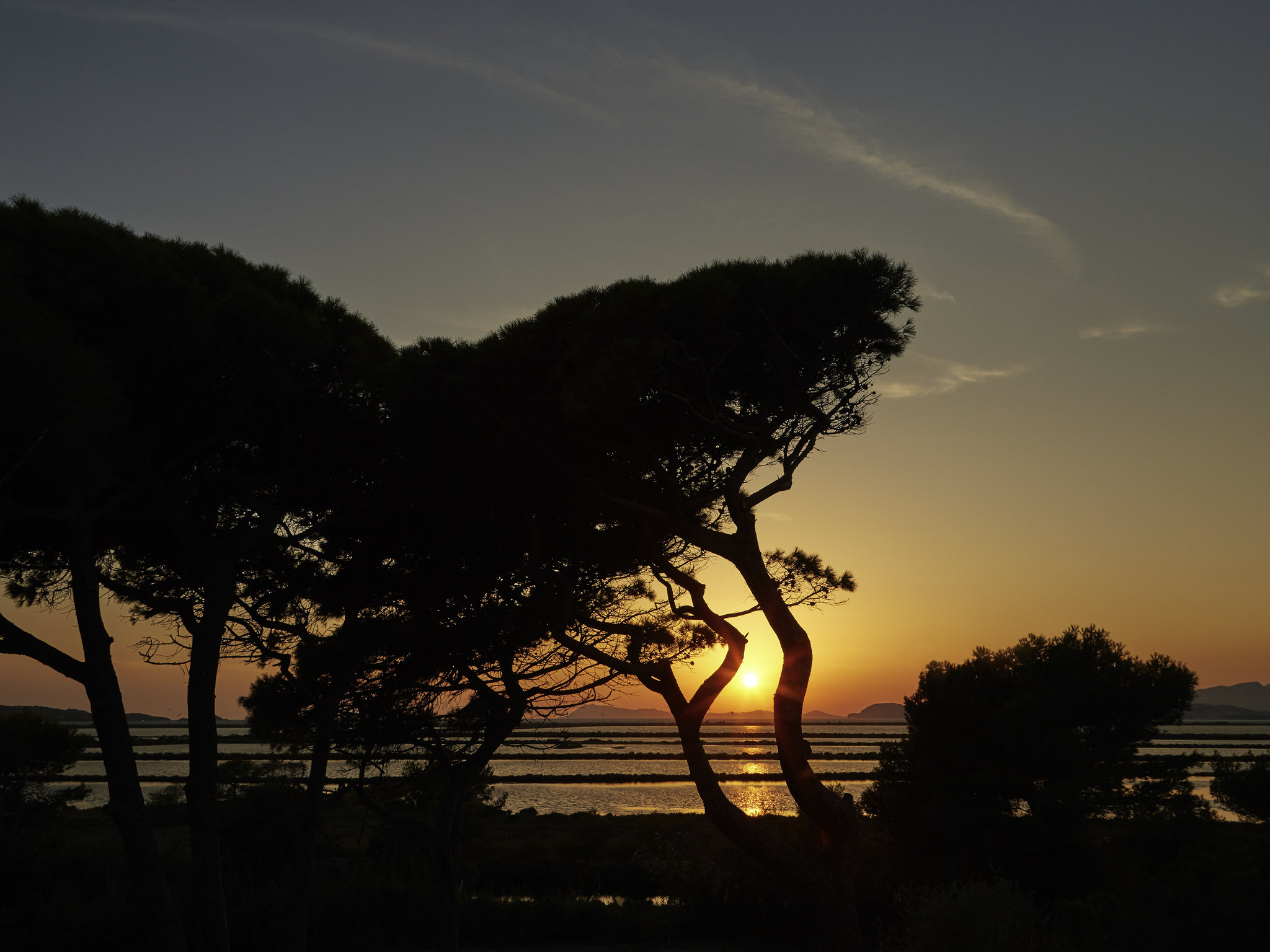 Photo - Mercure Hyères Centre Côte d'Azur