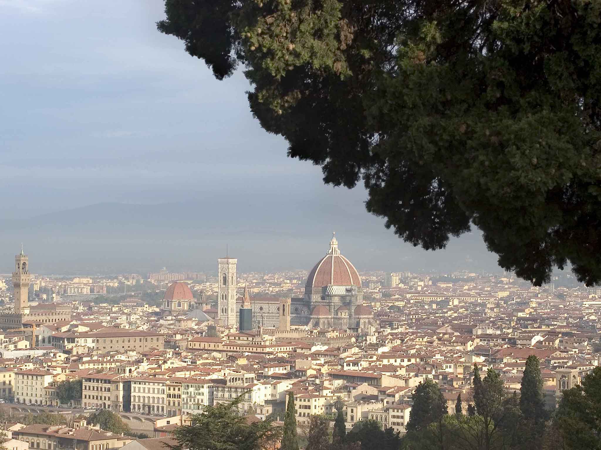 Photo - Novotel Firenze Nord Aeroporto