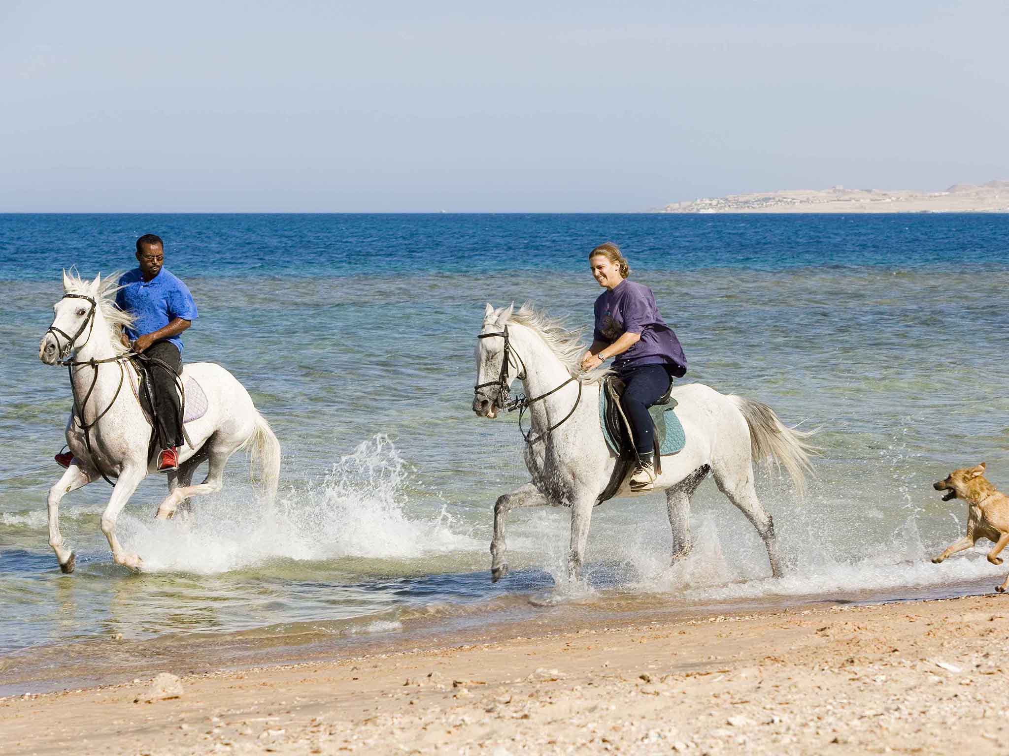 Photo - Mercure Hurghada Hotel