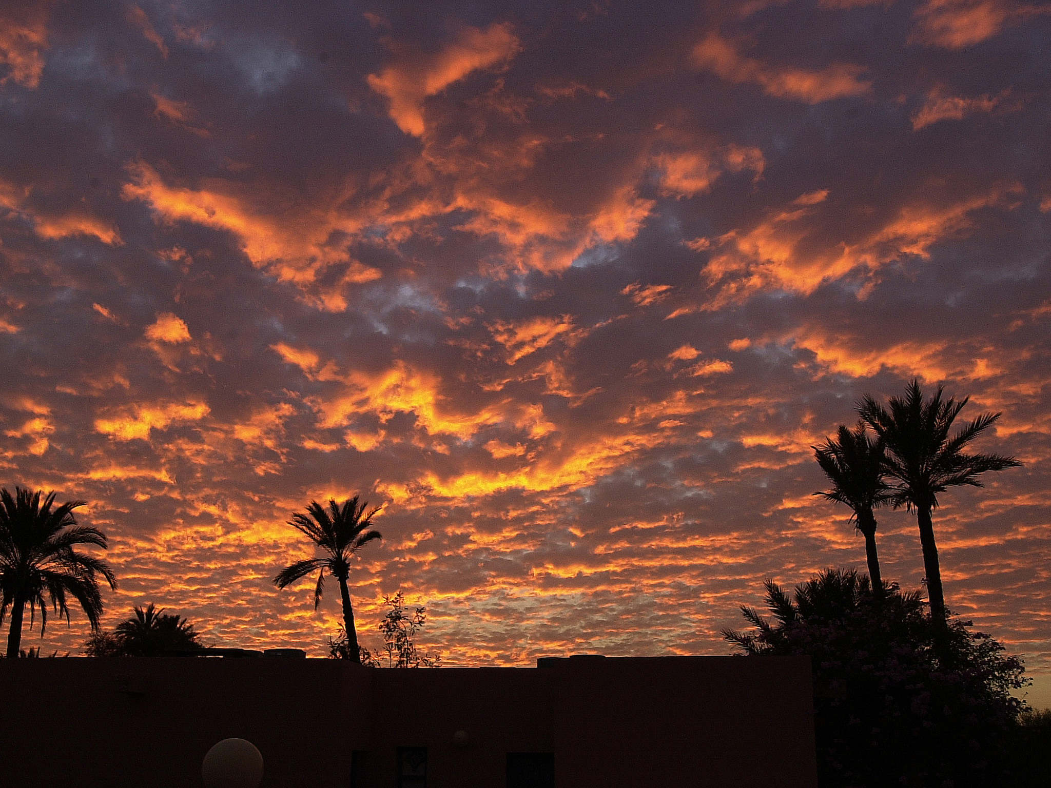 Photo - Ibis Marrakech Centre Gare