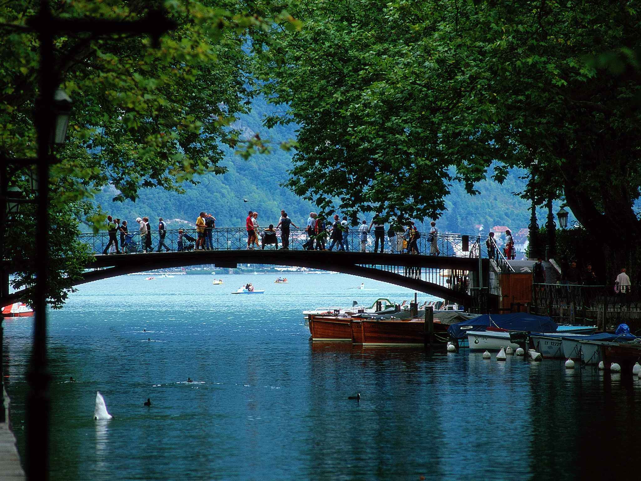 Foto - greet hôtel Annecy Cran-Gevrier