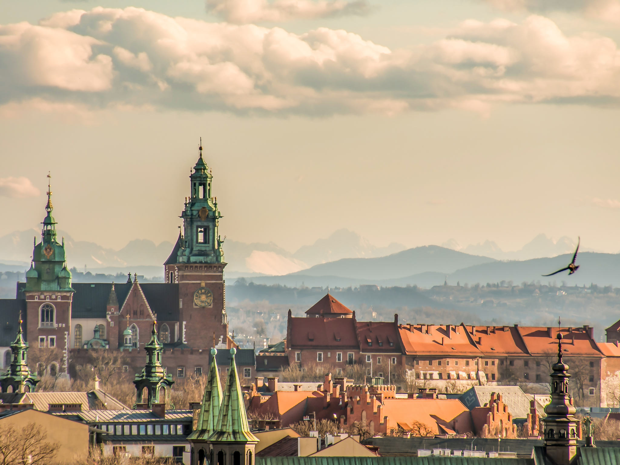 Photo - Novotel Kraków City West