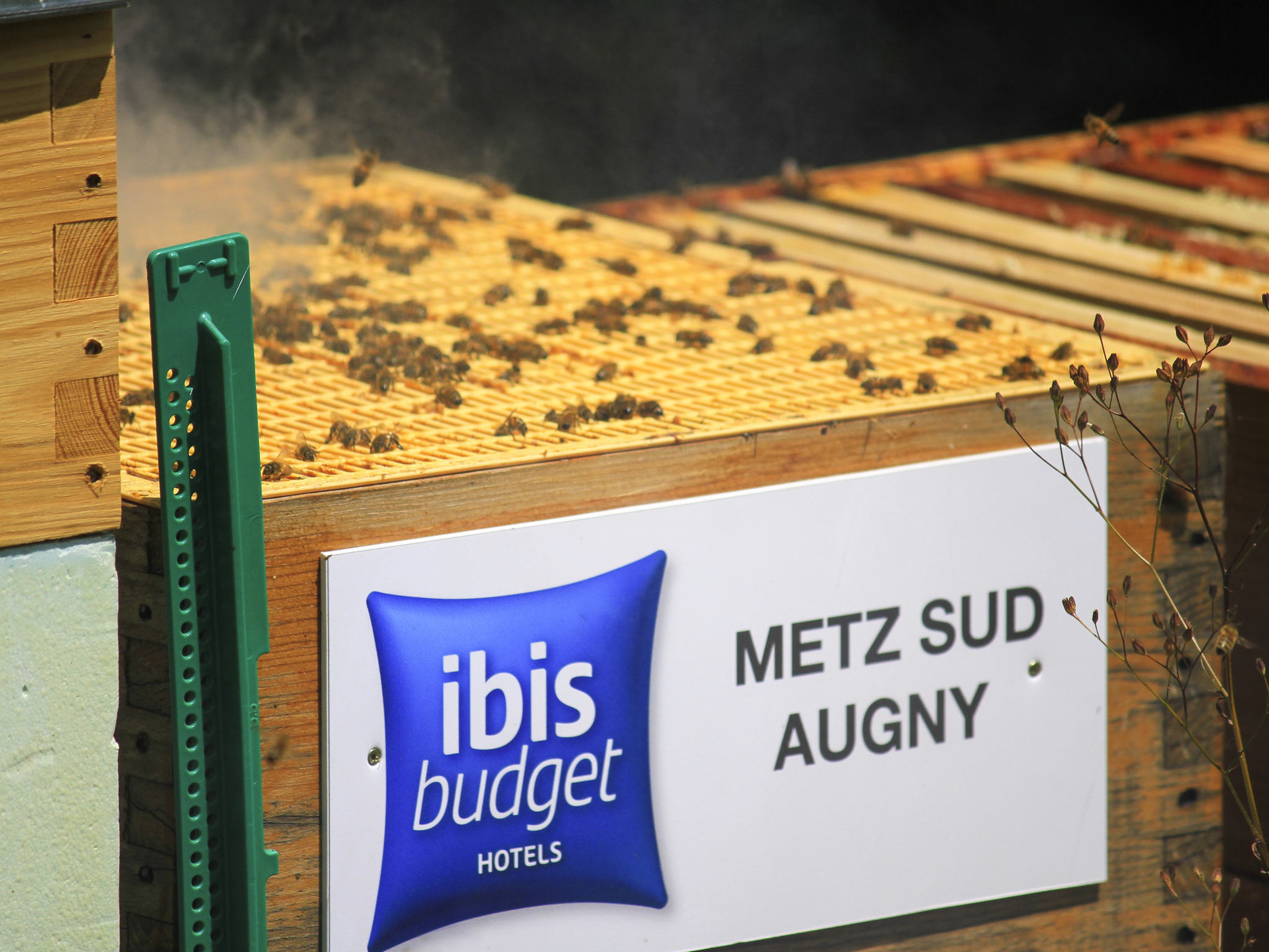 Photo - ibis budget Metz Sud