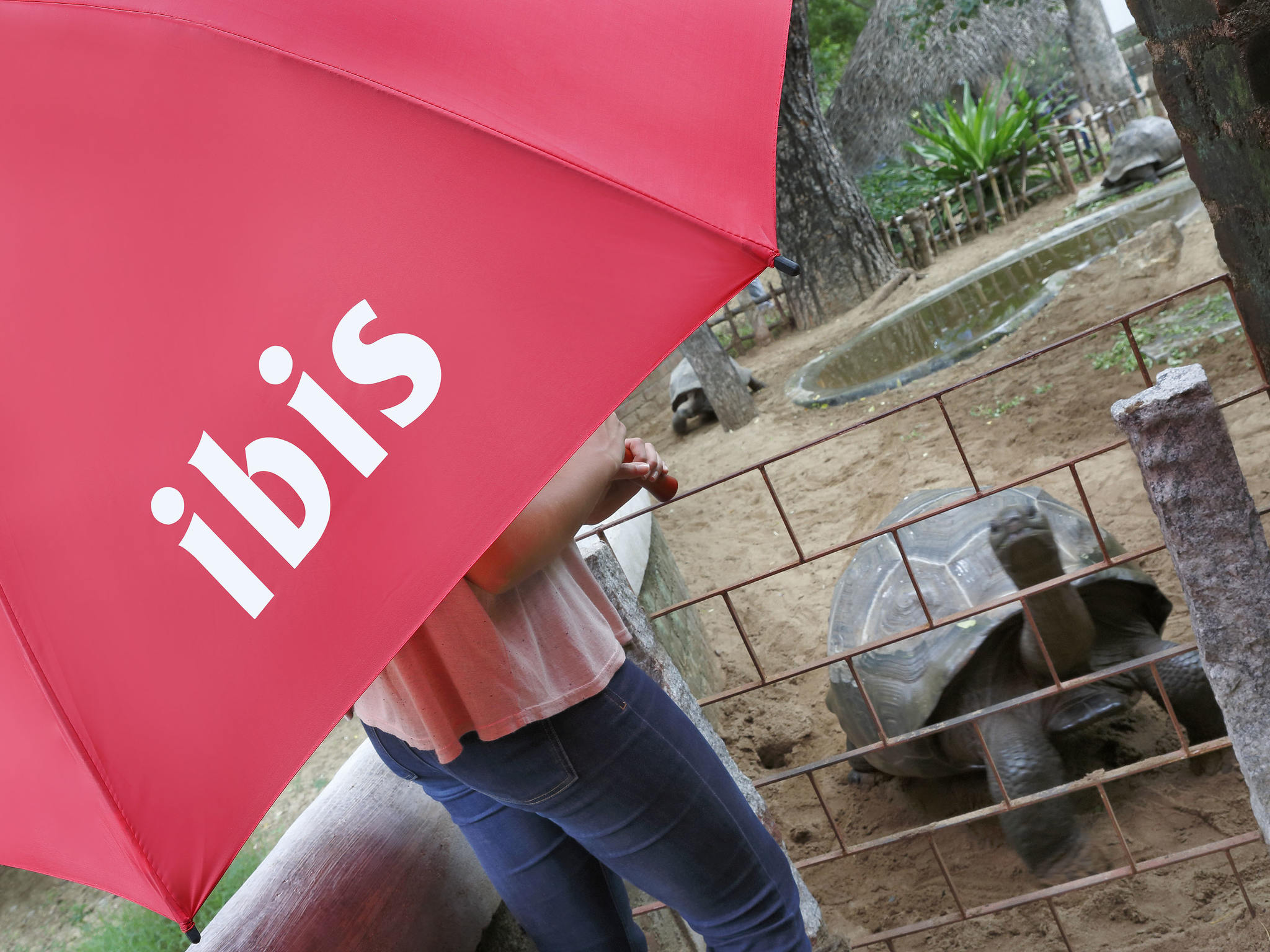 Photo - Ibis Chennai OMR - An Accor Brand