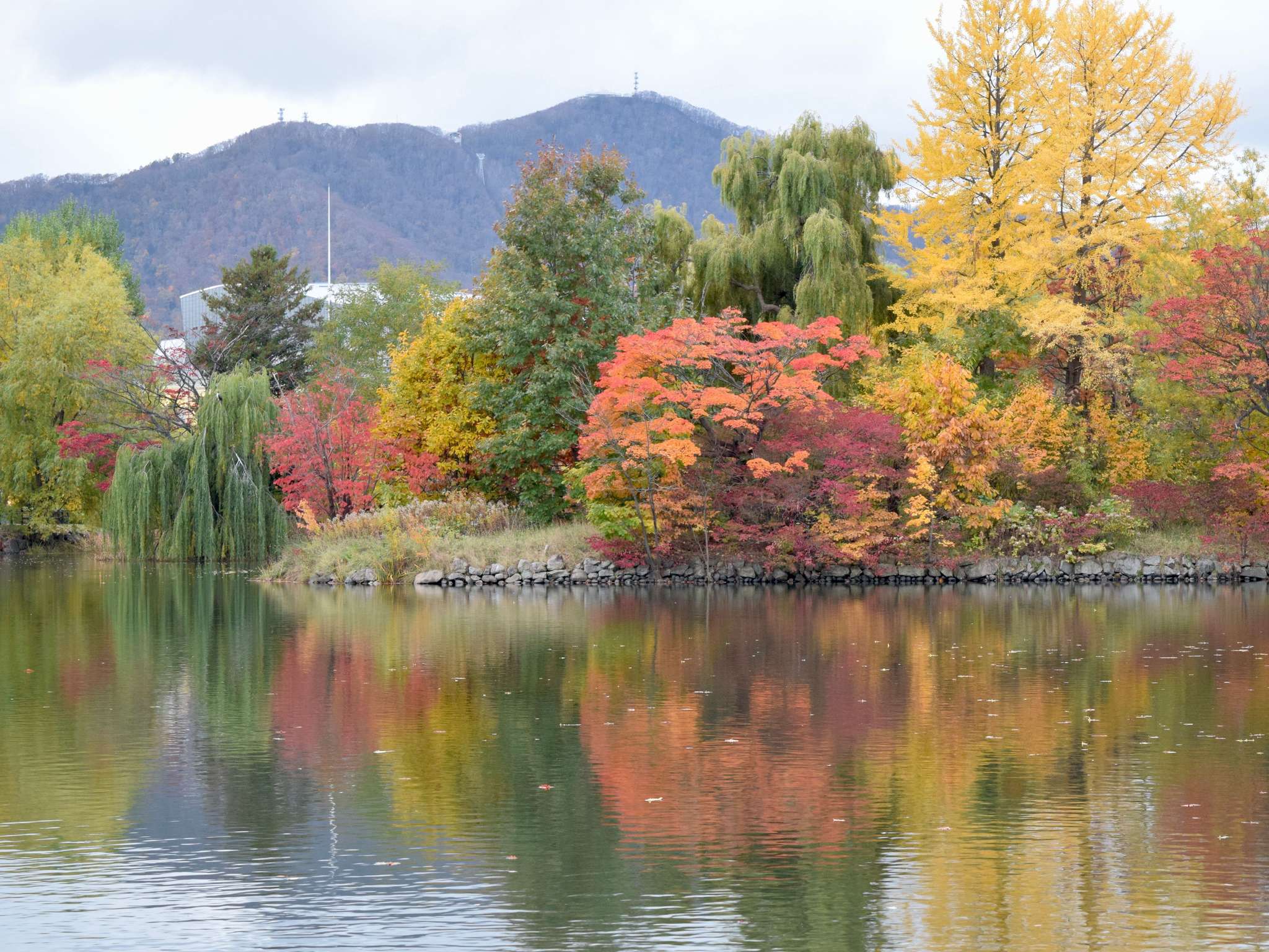 Foto - Mercure Sapporo