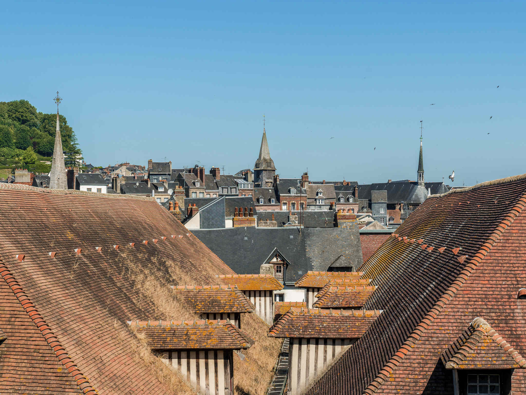 Foto - ibis Styles Honfleur Centre Historique