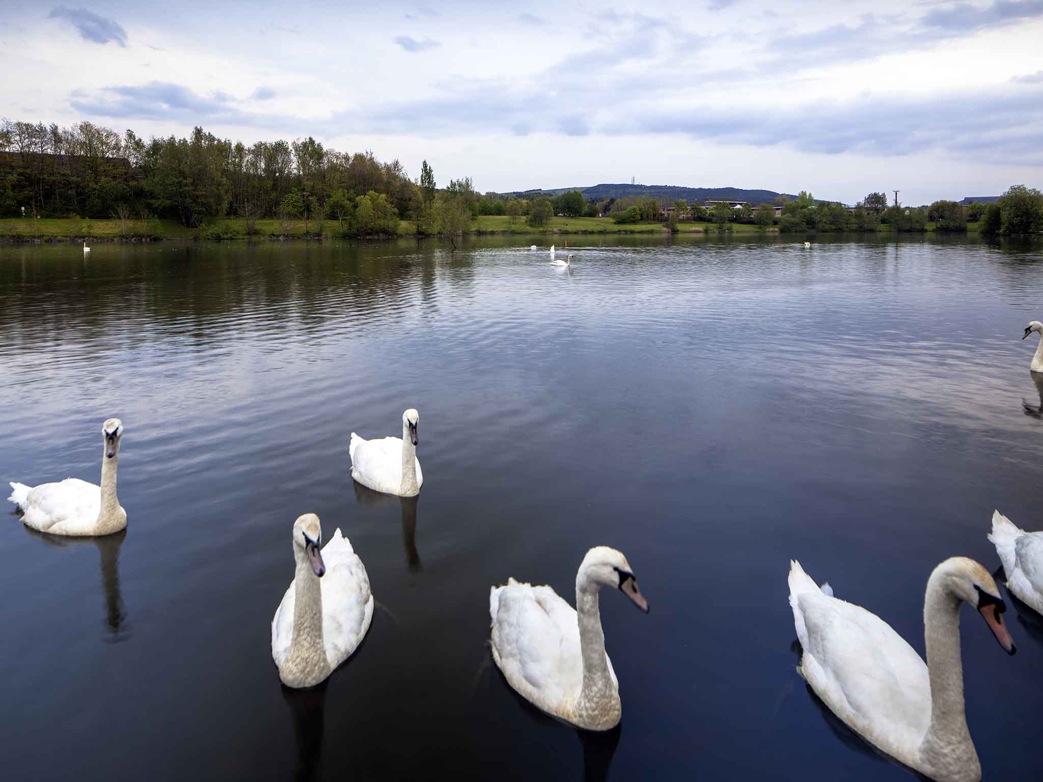 Photo - Mercure Swansea Hotel