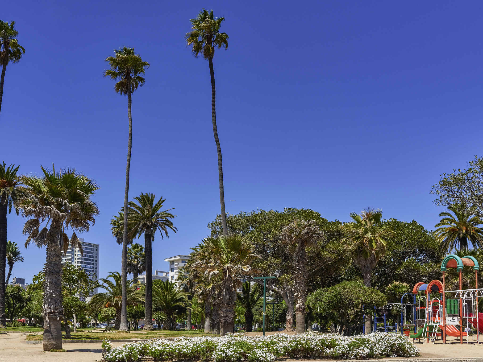 Photo - Novotel Vina del Mar