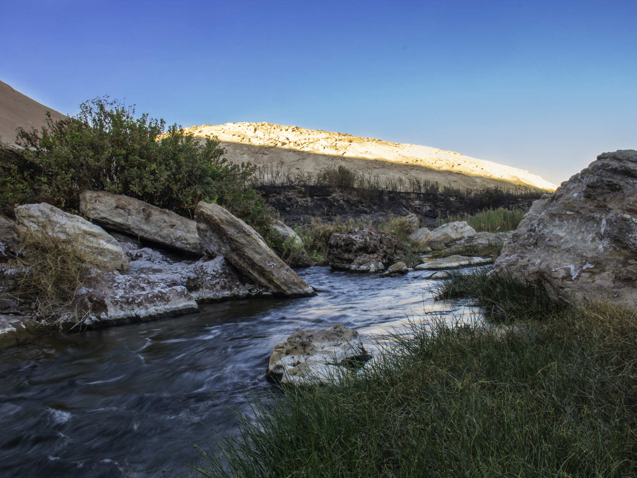 Foto - ibis budget Calama