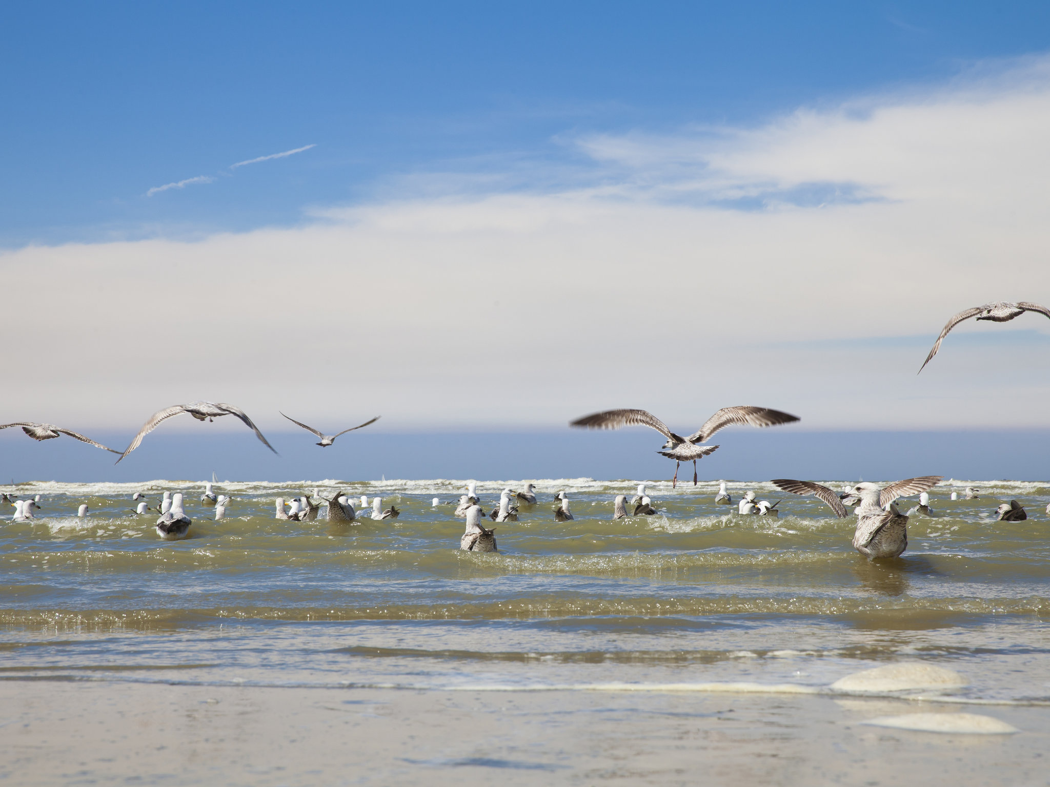 Photo - ibis budget Oostende Airport